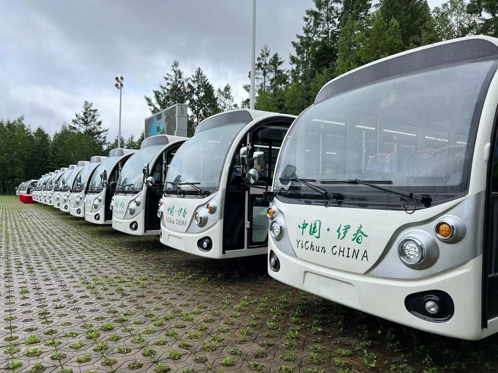 電動觀光車 電動觀光車