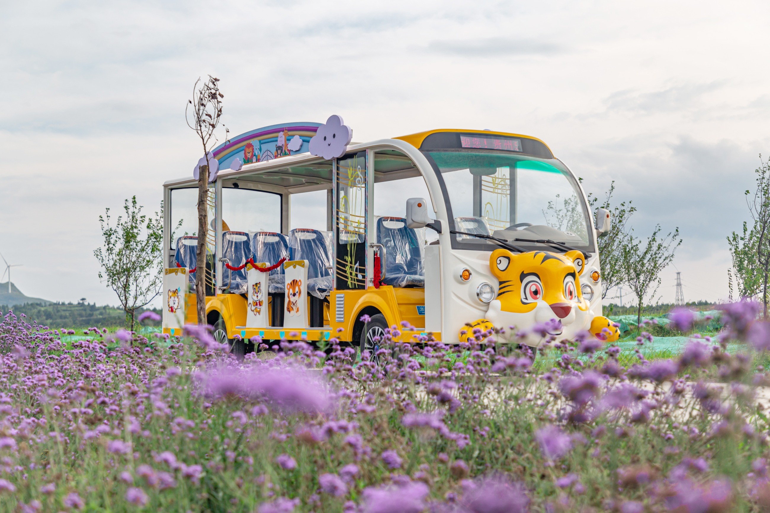 電動觀光車