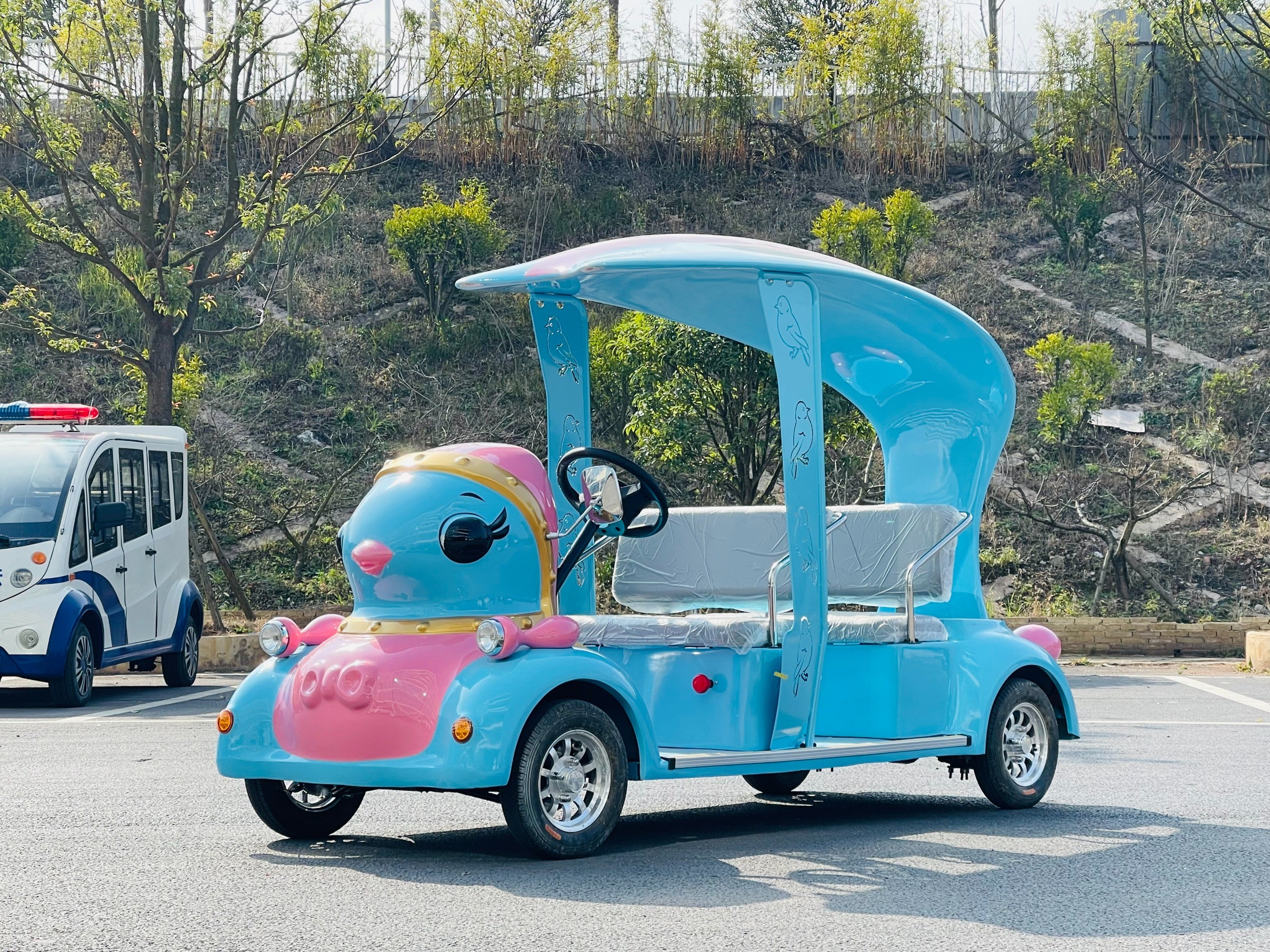 電動(dòng)觀光車(chē)