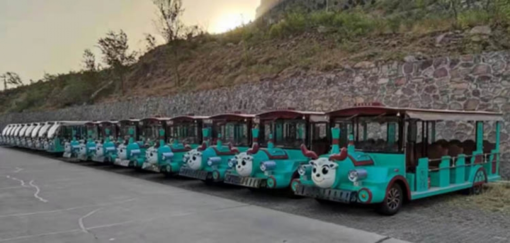 河南·寶泉景區(qū)20輛電動(dòng)觀光車(chē)案例圖片