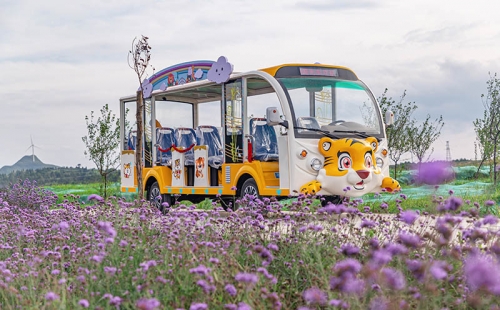 電動觀光車廠家哪個品牌好，電動觀光車市場價格