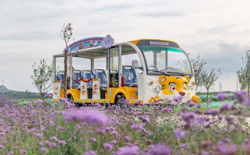 電動觀光車大概多少錢一臺？要怎么樣選擇？